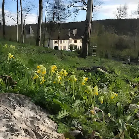 Domaine Du Val Bruant Arc-en-Barrois