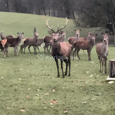 Villa Domaine Du Val Bruant